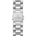 Часы Omega Seamaster Aqua Terra 220.10.38.20.03.003 фото 4