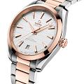 Часы Omega Seamaster Aqua Terra 220.20.41.21.02.001 фото 2