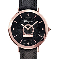Часы Salvatore Ferragamo SF8200419