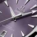 Часы Omega Seamaster Aqua Terra 220.10.38.20.10.004 фото 4