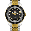 Часы Rado Captain Cook Automatic R32138153
