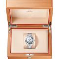 Часы Omega Seamaster Aqua Terra 220.10.41.21.02.004 фото 6