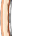 Часы Daniel Wellington Bound Crocodile Emerald Sunray Rose Gold DW00100694 фото 4