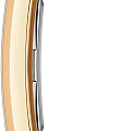 Часы Daniel Wellington Bound Crocodile Champagne Sunray Gold DW00100695 фото 3