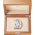 Часы Omega Seamaster Aqua Terra 220.10.41.21.02.001 фото 4