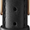 Часы Daniel Wellington Petite Sheffield DW00100224 фото 5