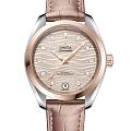 Часы Omega Seamaster Aqua Terra 220.23.34.20.59.001