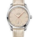Часы Omega Seamaster Aqua Terra 220.13.38.20.09.001